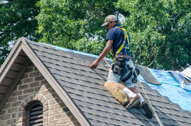 Best Roof Gutter Cleaning  in Whitaker, PA